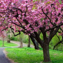 46AF LUSTRO RAMA 150104 C+O 36X114-#4