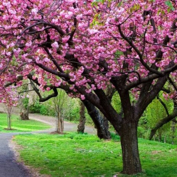 Alfaram - Lustra Łazienkowe Na Wymiar Podświetlane LED - Instagram #1